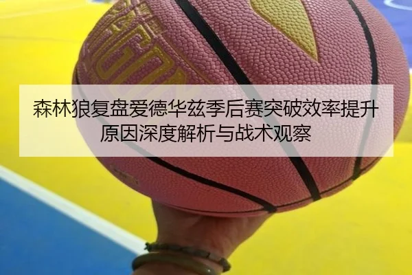 森林狼复盘爱德华兹季后赛突破效率提升原因深度解析与战术观察